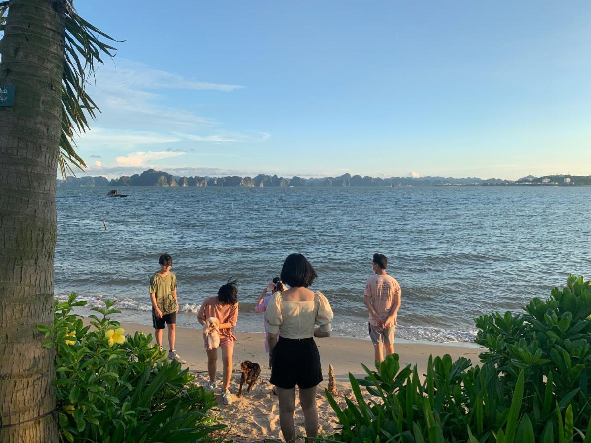 Tulip Homestay Ha Long Exteriör bild
